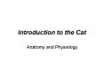 Introduction to the Cat PowerPoint PPT Presentation