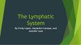 The Lymphatic System PowerPoint PPT Presentation