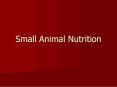 Small Animal Nutrition PowerPoint PPT Presentation