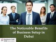 Noticeable Benefits of Business Setup in Dubai