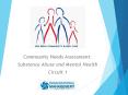 Community Needs Assessment: PowerPoint PPT Presentation