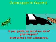 Grasshopper in Gardens