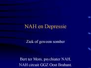NAH en Depressie