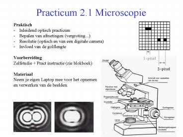 Practicum 2.1 Microscopie