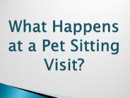 What Happens at a Pet Sitting Visit?