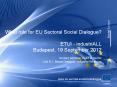 What role for EU Sectoral Social Dialogue? ETUI - industriALL Budapest, 19 September 2012 Norbert Sch PowerPoint PPT Presentation