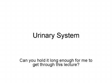 Urinary System