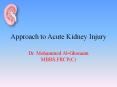 Approach to Acute Kidney Injury PowerPoint PPT Presentation