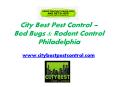 Pest Control Philadelphia, PA - www.citybestpestcontrol.com PowerPoint PPT Presentation