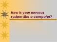 How is your nervous system like a computer? PowerPoint PPT Presentation