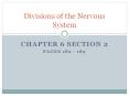Divisions of the Nervous System PowerPoint PPT Presentation