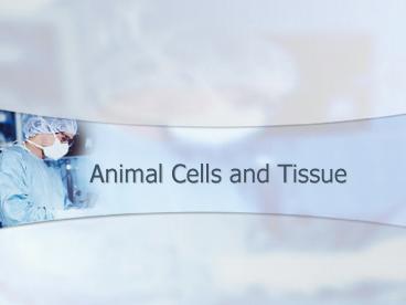 Animal Cells and Tissue