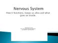 Nervous System PowerPoint PPT Presentation