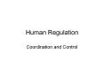 Human Regulation PowerPoint PPT Presentation