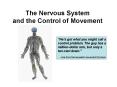 The Nervous System and the Control of Movement PowerPoint PPT Presentation