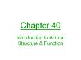 Introduction to Animal Structure PowerPoint PPT Presentation