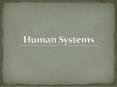 Human Systems PowerPoint PPT Presentation