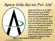 California SEO Company | Apex Info-Serve