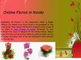 Send Flowers to Noida - Online Florist in Noida | Flowers Delivery Noida