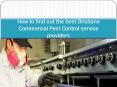 How to find out the best Brisbane Commercial Pest Control service providers PowerPoint PPT Presentation