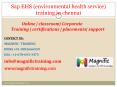 sap ehs online training in lucknow,pune,jaipur,vijayawada,hyderabad PowerPoint PPT Presentation