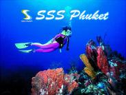 Surfing Phuket, www.sssphuket.com