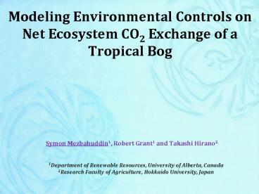 Modeling Environmental Controls on Net Ecosystem CO2 Exchange of a Tropical Bog