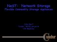 NeST: Network Storage Flexible Commodity Storage Appliances PowerPoint PPT Presentation