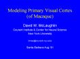 Modeling Primary Visual Cortex (of Macaque) PowerPoint PPT Presentation