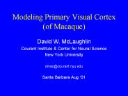 Modeling Primary Visual Cortex (of Macaque)