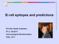 B cell epitopes and predictions PowerPoint PPT Presentation