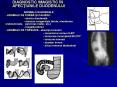 DIAGNOSTIC IMAGISTIC  PowerPoint PPT Presentation