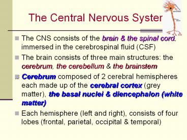 The Central Nervous System