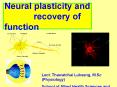 Neural plasticity and       recovery of function PowerPoint PPT Presentation