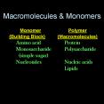 Macromolecules%20 PowerPoint PPT Presentation