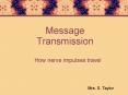 Message Transmission PowerPoint PPT Presentation