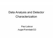Data Analysis and Detector Characterization