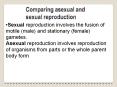 REPRODUCTIVE STRTEGIES IN ANIMALS PowerPoint PPT Presentation