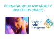 Perinatal Mood and Anxiety Disorders (PMADs) PowerPoint PPT Presentation