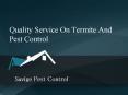Savige Pest Control  - Quality Service On Termite And Pest Control PowerPoint PPT Presentation