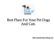 Best Place For Your Pet Dogs And Cats