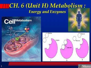 CH. 6 (Unit H) Metabolism : Energy and Enzymes