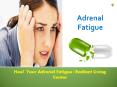 Adrenal Support Vitamins by Premier Research Labs PowerPoint PPT Presentation