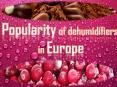 Popularity of dehumidifiers in Europe PowerPoint PPT Presentation