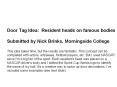 Door Tag Idea: Resident heads on famous bodies Submitted by Nick Brinks, Morningside College This idea takes time, but the results are fantastic. This concept can be completed with actors, actresses, football players, etc. But I used NASCAR since I'm PowerPoint PPT Presentation