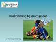 Beeldvorming bij spierrupturen PowerPoint PPT Presentation