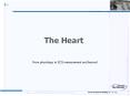 The Heart PowerPoint PPT Presentation