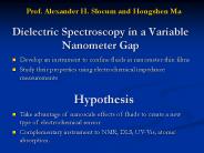 Dielectric Spectroscopy in a Variable Nanometer Gap