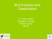 Bird%20Evolution%20and%20Classification