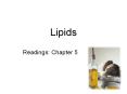 Lipids PowerPoint PPT Presentation